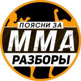 Мысли Пояснялыча • ММА